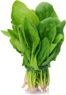 Palak