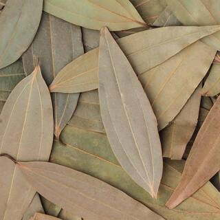 Bayleaf