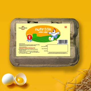 White Eggs - 6 pack