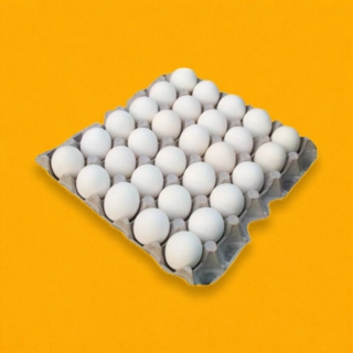 White Eggs Tray - Pack of 30