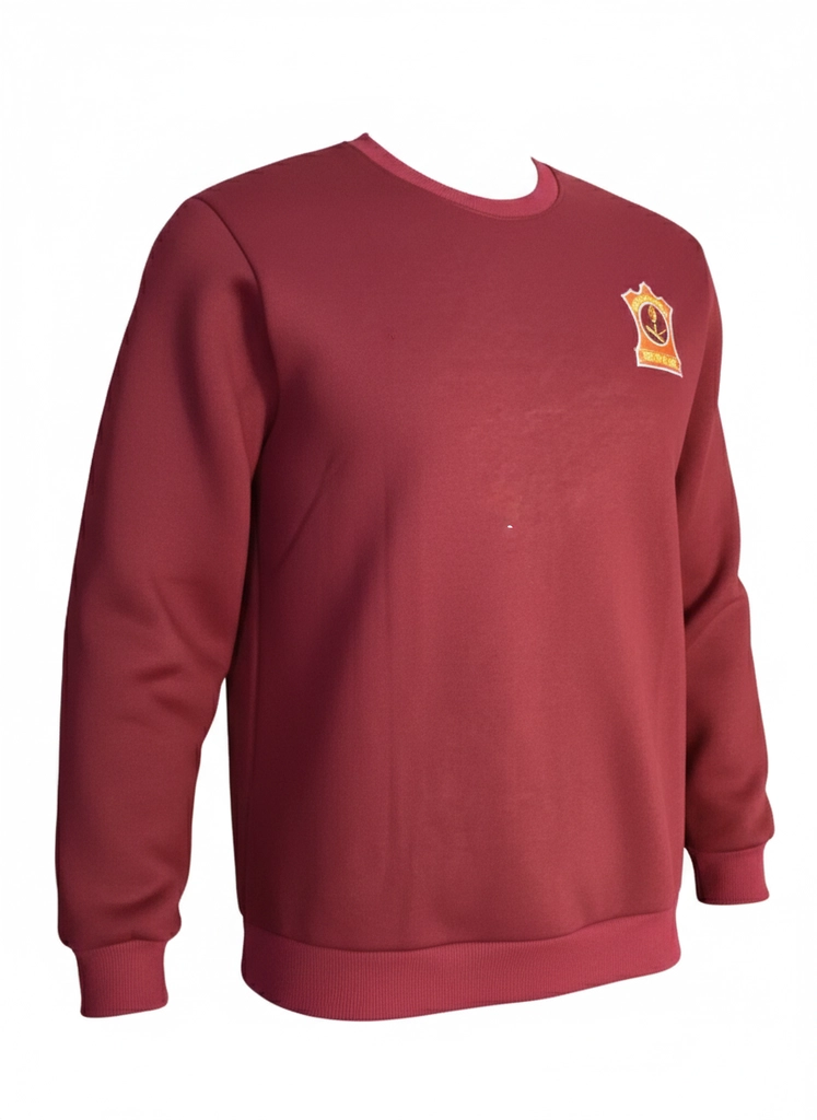 APS Red T-Shirt Full Sleeves