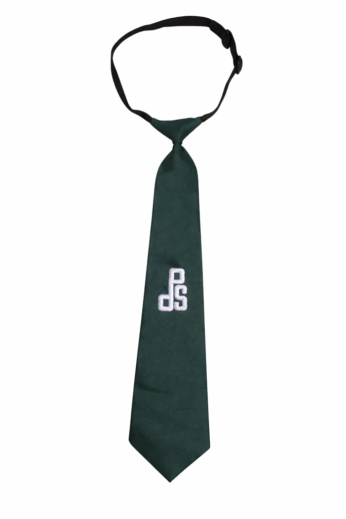 DPS Noida Tie