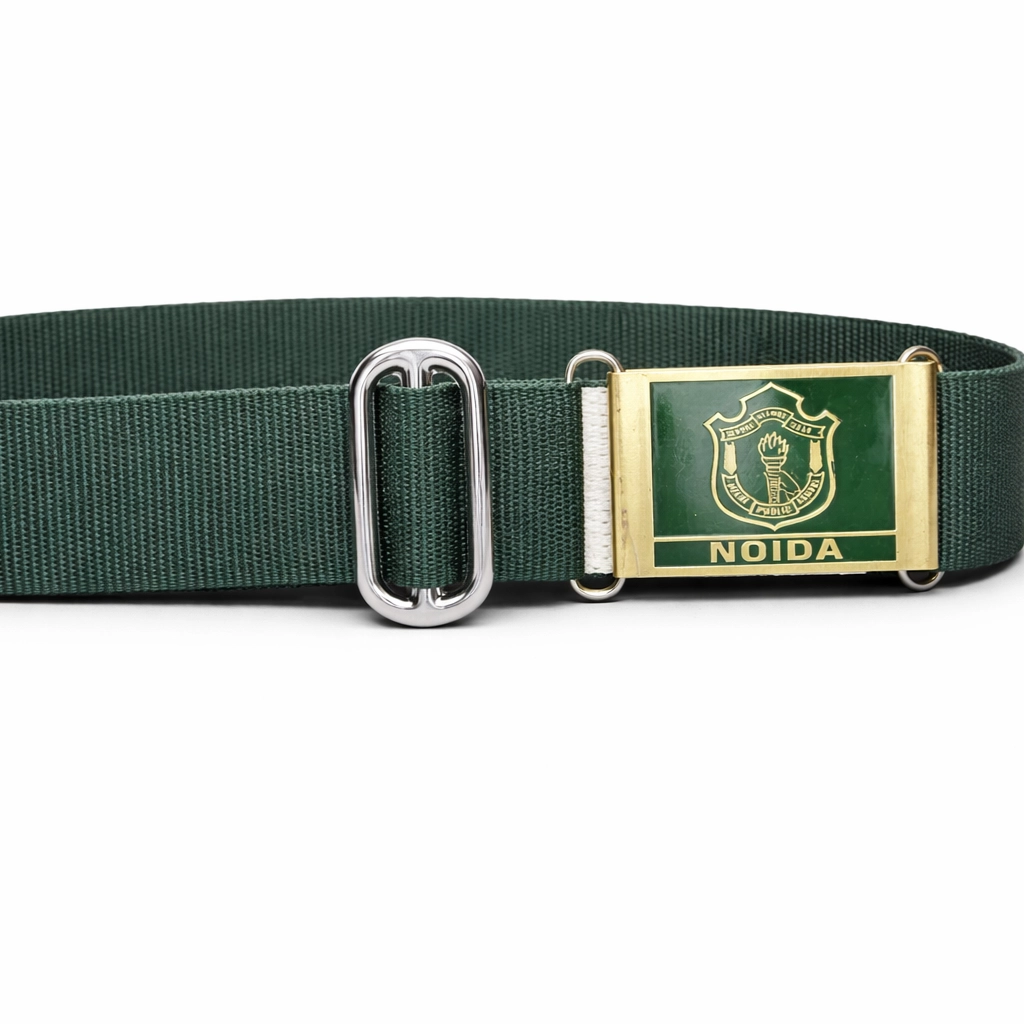 DPS Noida Belt