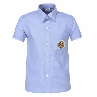 Amity School Boys Half Sleeves Shirt