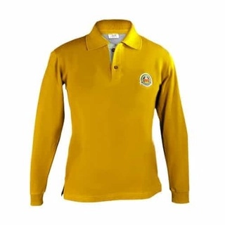 Amity Winter Unisex Full Sleeves House T-Shirt -Class 1 to 12