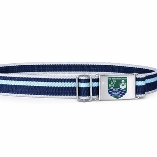TMS Belt