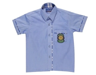Vishwa Bharati Public School H/S shirt