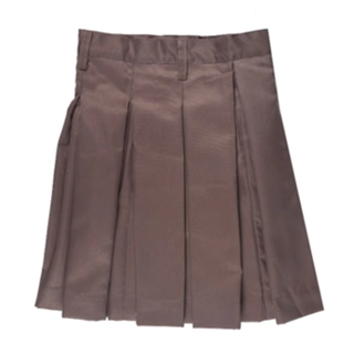Mayoor School Summer Skirt