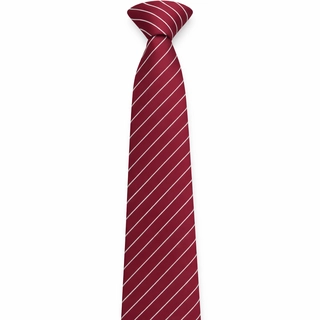 Mayoor School Tie