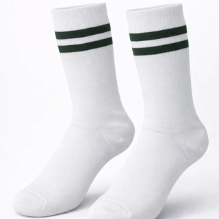 DPS GBN Summer Socks