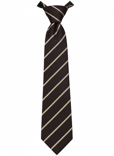 Apeejay Tie