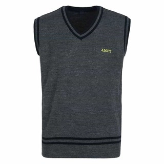 Amity Unisex Grey Sleeveless Sweater - Class Nursery to 12