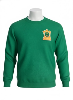 APS Green T-Shirt Full Sleeves