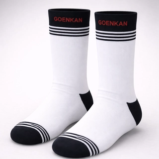 GD Goenka Socks