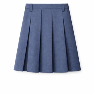 DPS Noida Grey Wollen Skirt