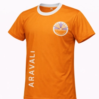 Khaitan House T-Shirt Aravali (Orange)