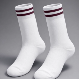 Mayoor School Socks Summer
