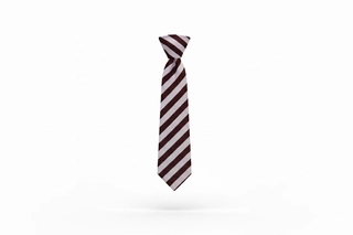 APS Tie