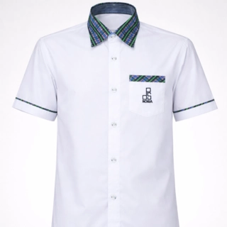 DPS, Noida Half Sleeves Shirt (Class IIIrd - Vth)