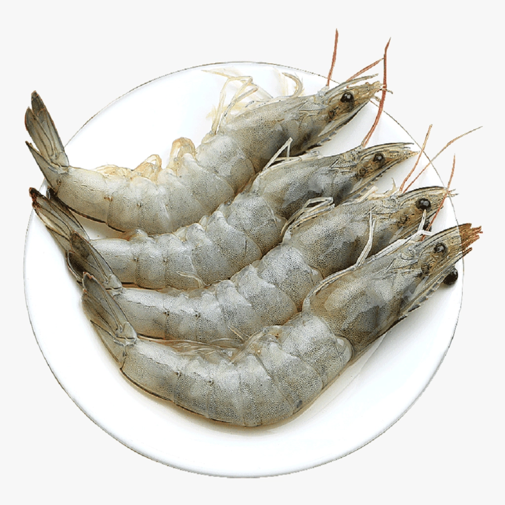 FRESH WHITE PRAWNS / NAARAN CHEMMEEN - PEELED & UNDEVEINED (80- 100+/KG) 250g