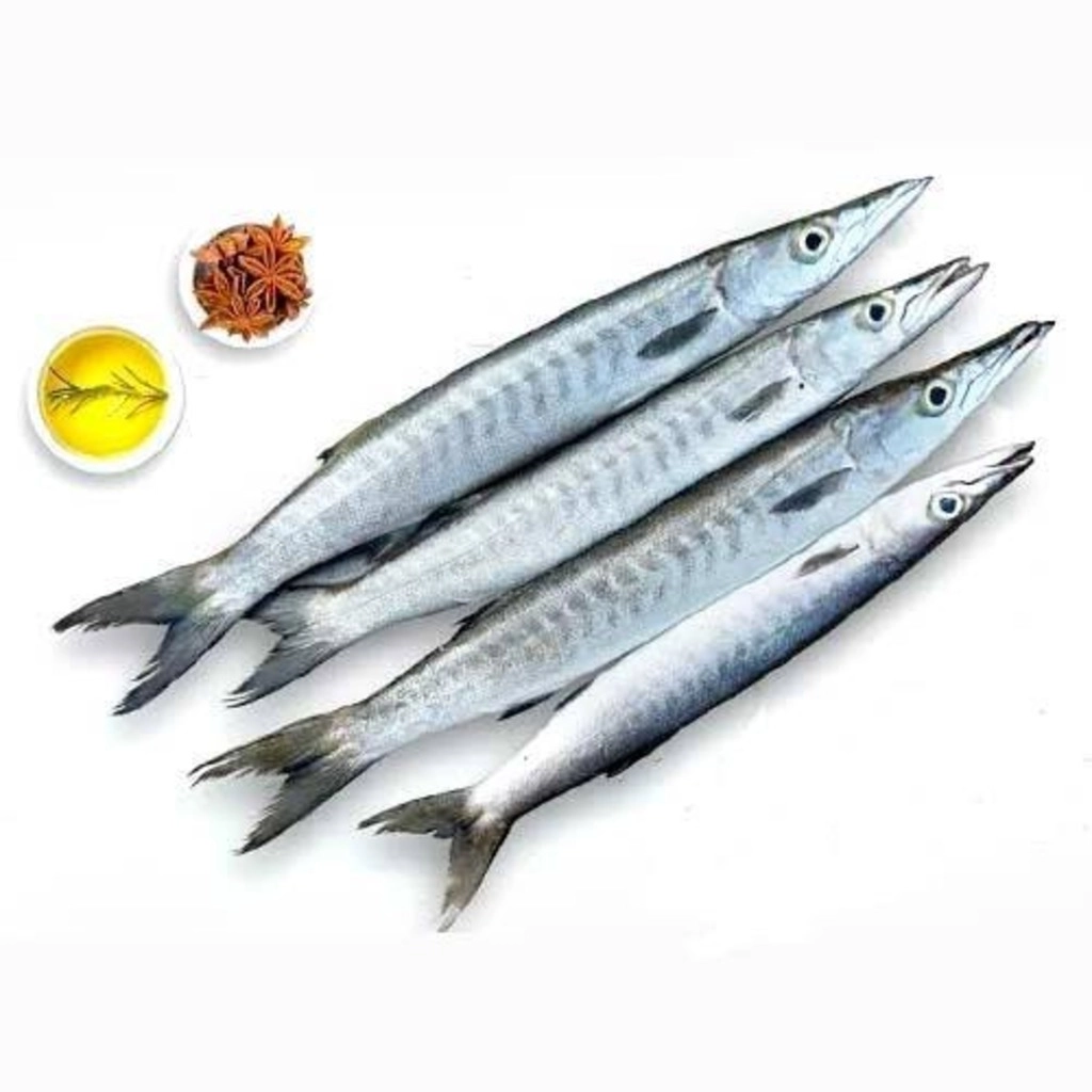 Sheelav / Baracuda small 500g