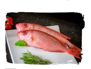 Kannan Chembally / Big eye snapper 500g
