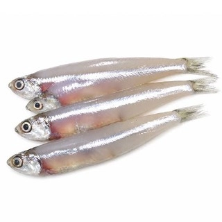ANCHOVY / KOZHUVA - 500g