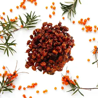 SEA BUCKTHORN