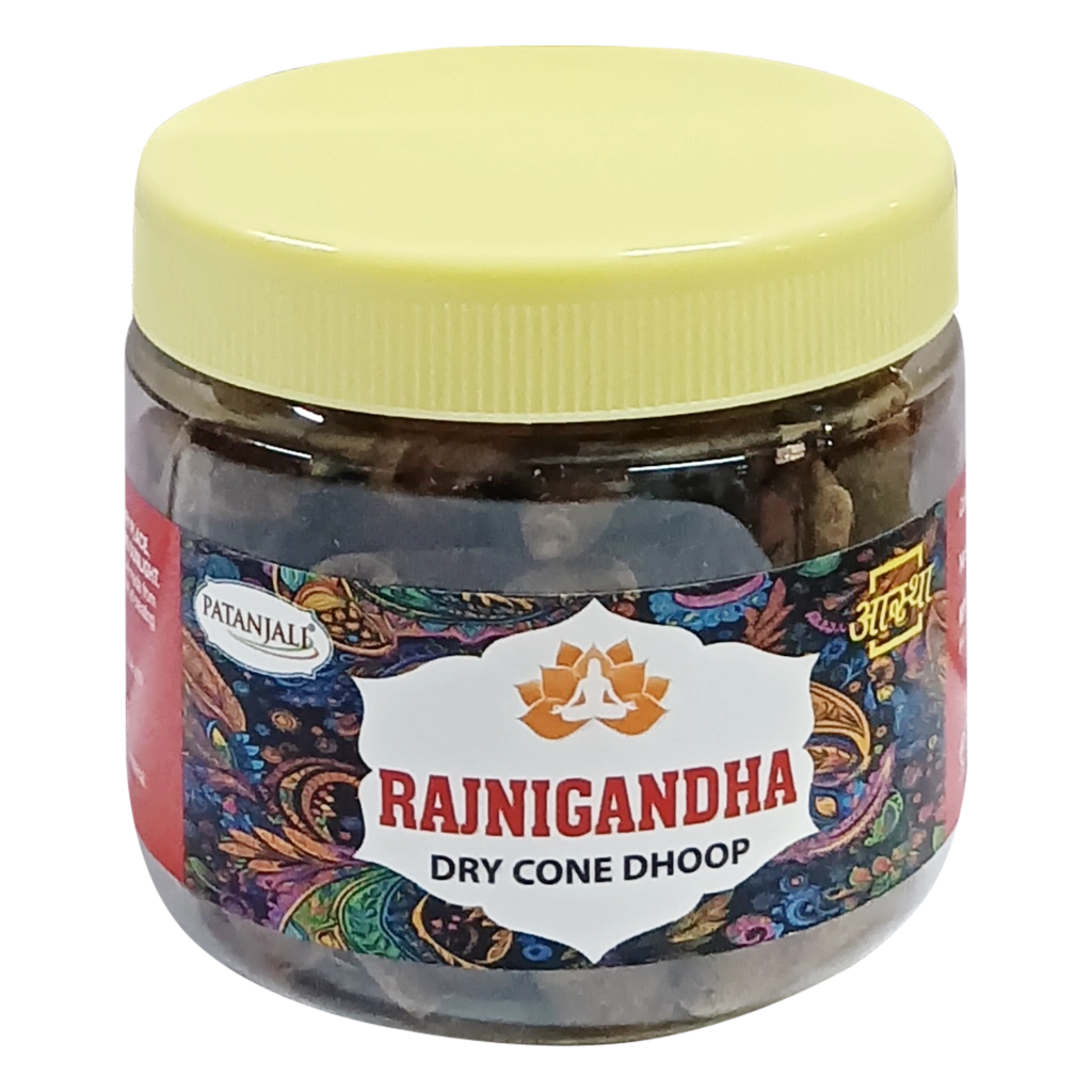 Rajnigand Cone