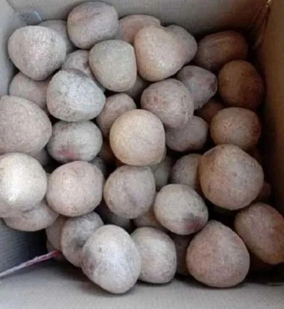 Khobra Gota