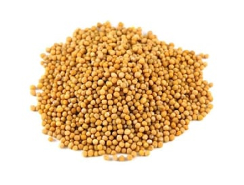 Siddheshwar Rai Yellow Bulk