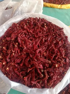 Siddheshwar Mirchi Bedgi
