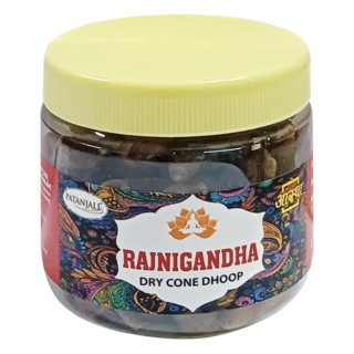 Rajnigand Cone