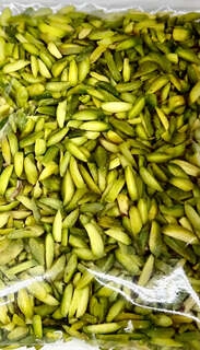 Siddheshwar Pista Green