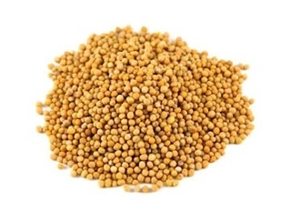 Siddheshwar Rai Yellow Bulk