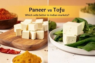 Paneer Tofu