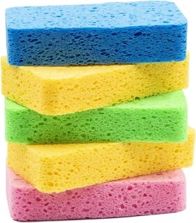 Sponge Big