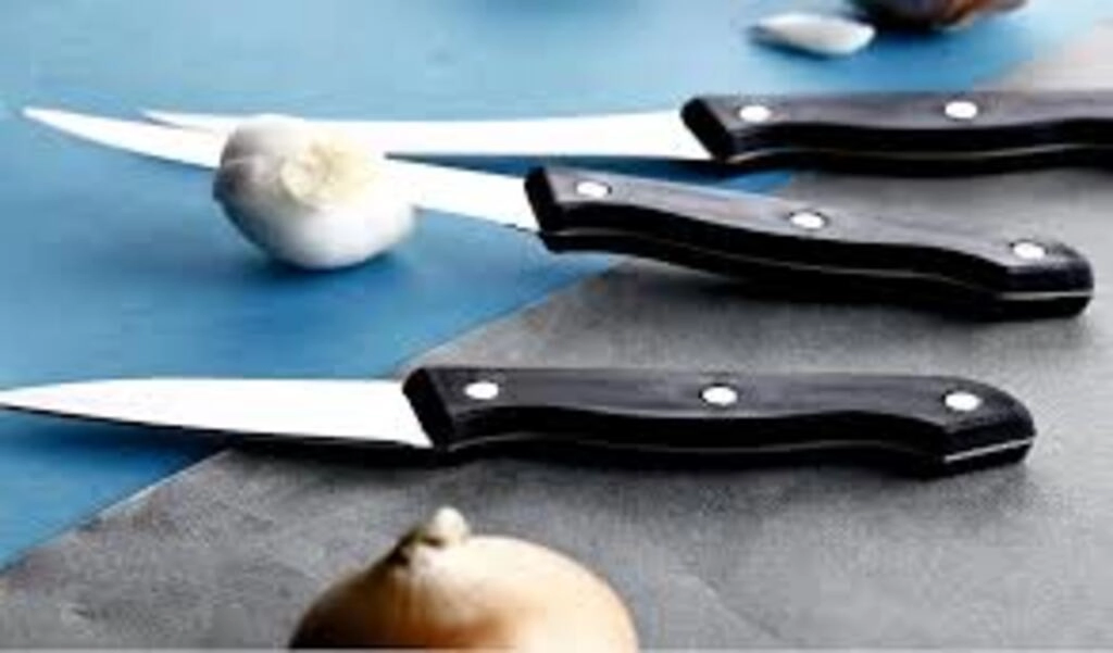 SENSO SELIA FRUIT KNIFE ULTRA PRECISE CUTTING EDGE 489