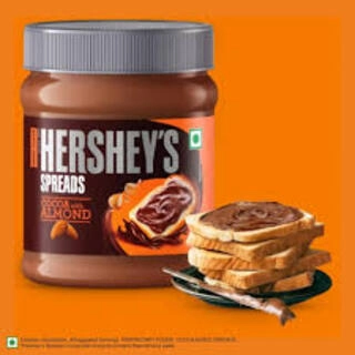 HERSHEY'S SPREADS COCA ALMOND 350 G