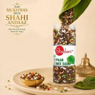 SHADANI PAAN MIX SAUNF 120 G