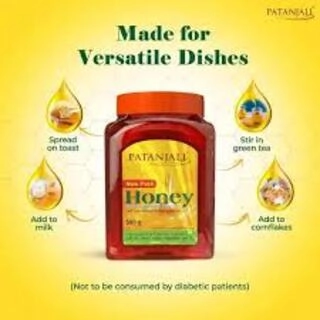 PATANJALI HONEY 500 G