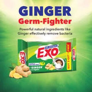 EXO ANTI BACTERIAL WITH GINGER GERM-FIGHTER 40 G