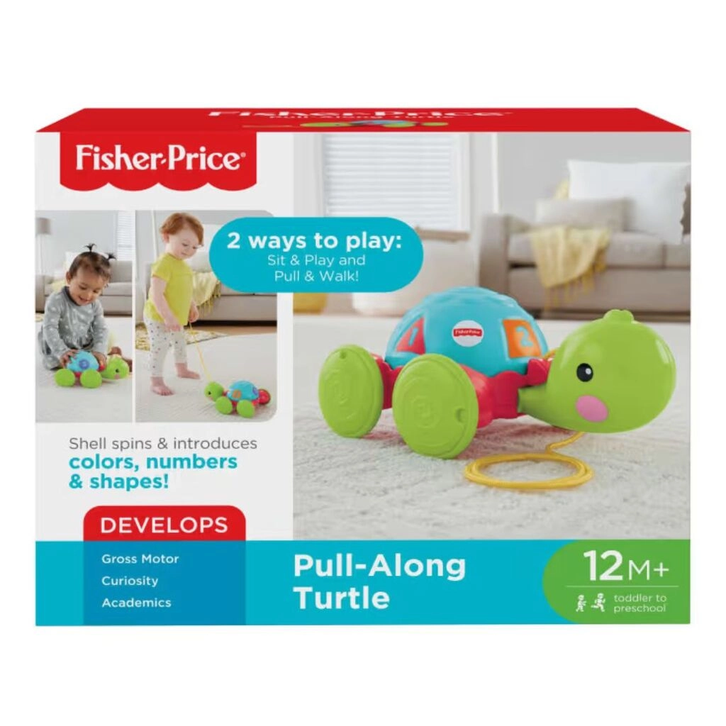 Pull Along Turtle