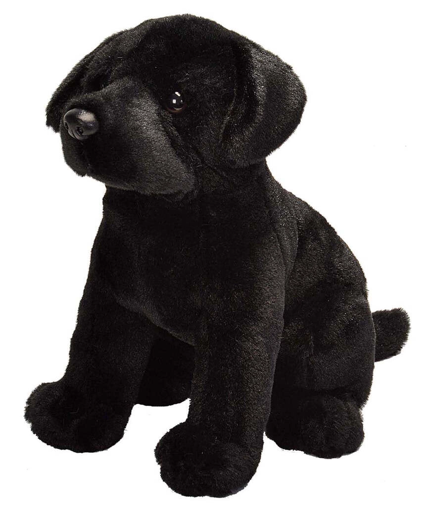 Black Lab 12"
