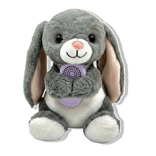Pookie AI Learning Companion, Screen-Free Smart Toy with Interactive Stories|Conversations & Fun Facts, Emotion-Aware AI with Parental Controls, Safe & Portable for Kids
