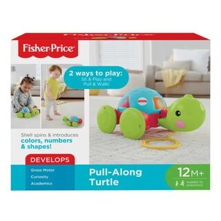 Pull Along Turtle