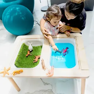Sensory Table 1-10 years