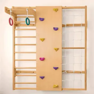 Wall Mounted Jungle Gym 2-9 years