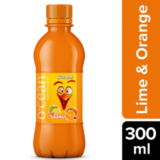 Fruit Water Orange Lime