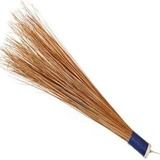 Coconut Broom